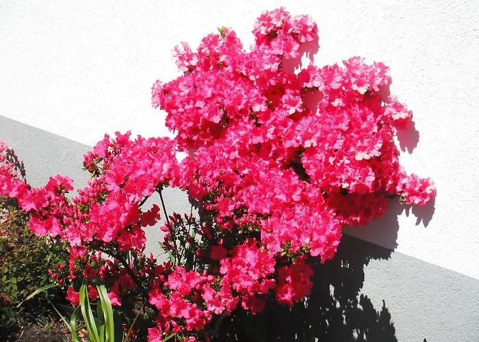 Arcadia Ξενοδοχείο Ασκόνα