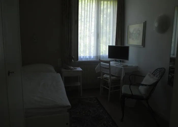 Arcadia Ασκόνα